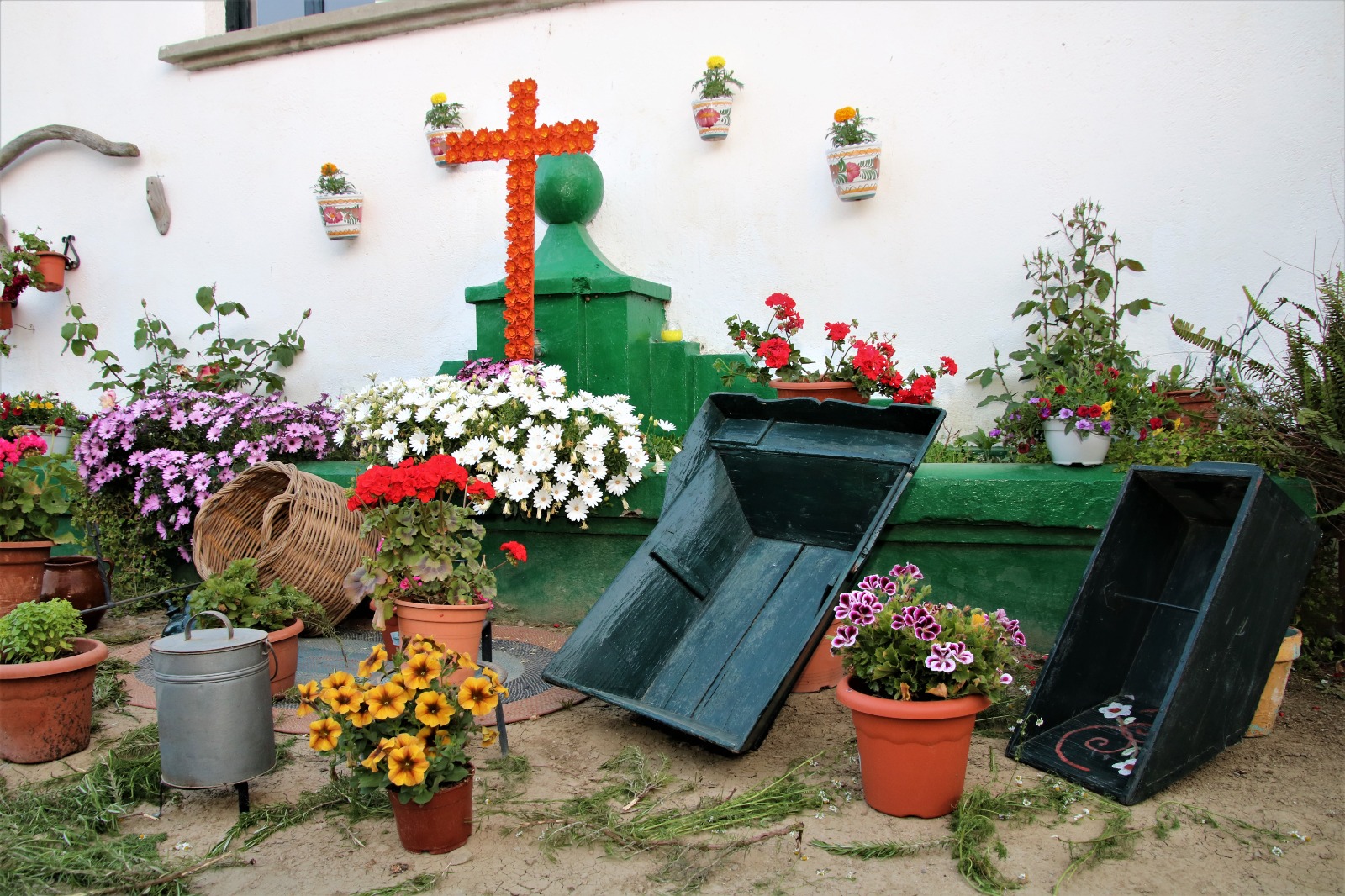 Patio Albergue Camino de Santiago