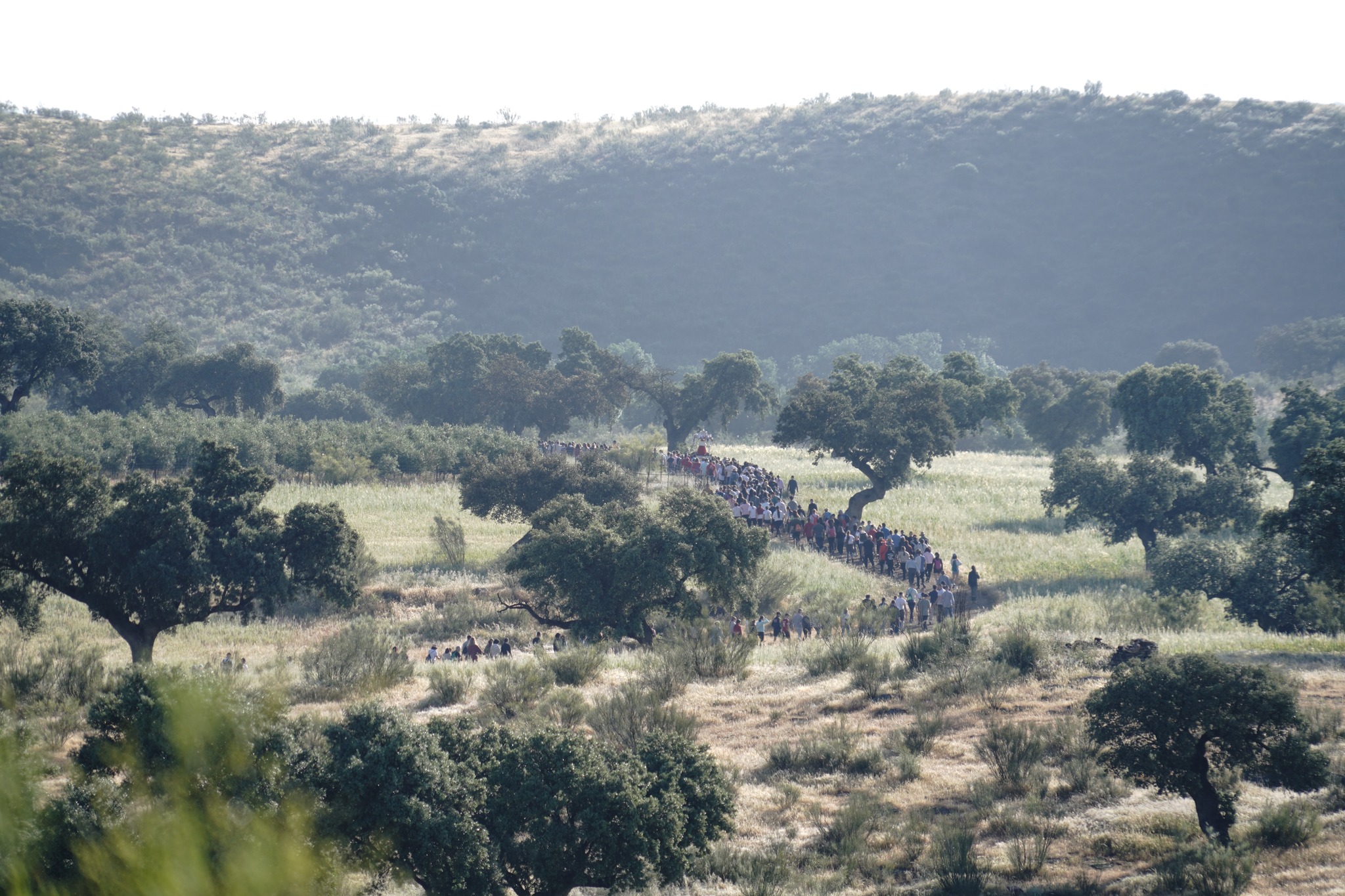 Romeros/as realizando el Camino